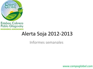 Alerta Soja 2012-2013
   Informes semanales




                    www.campoglobal.com
 