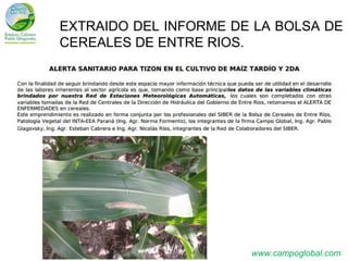 EXTRAIDO DEL INFORME DE LA BOLSA DE
CEREALES DE ENTRE RIOS.

www.campoglobal.com

 