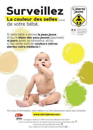 Alerte Jaune Depliant