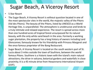 Sugar Beach, A Viceroy Resort
• 5 Star Resort
• The Sugar Beach, A Viceroy Resort is without question located in one of
the most spectacular sites in the world, the majestic valley of the Pitons
(Val des Pitons). The beauty of the Pitons, listed by UNESCO as a World
Heritage Site, is unparalleled. The atmosphere is unobtrusive and lends to
a truly intimate and relaxed experience. The resort is spread across more
than one hundred acres of tropical forest unsurpassed for its natural
beauty, with the only white sand beach in the area. Formerly a working
sugar plantation, the property has a long history of owners including Lord
Glenconner, famously known for his friendship with Princess Margaret and
the once famous proprietor of the Bang Restaurant.
• Sugar Beach, A Viceroy Resort is located on the south western part of St.
Lucia about 3 miles outside the town of Soufriere, between the world
famous Pitons. Soufriere is a historic town with the island's main natural
attractions; the drive-in volcano, botanical gardens and waterfalls in close
proximity. It is a 45 minute drive from Hewannorra International Airport
(UVF).
 