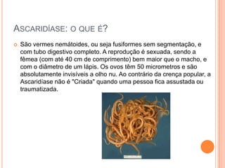 ASCARIDÍASE: O QUE É?
   São vermes nemátoides, ou seja fusiformes sem segmentação, e
    com tubo digestivo completo. A reprodução é sexuada, sendo a
    fêmea (com até 40 cm de comprimento) bem maior que o macho, e
    com o diâmetro de um lápis. Os ovos têm 50 micrometros e são
    absolutamente invisíveis a olho nu. Ao contrário da crença popular, a
    Ascaridíase não é "Criada" quando uma pessoa fica assustada ou
    traumatizada.
 