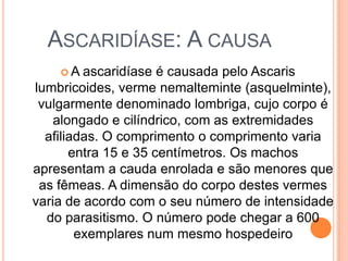 ASCARIDÍASE: A CAUSA
    A   ascaridíase é causada pelo Ascaris
lumbricoides, verme nemalteminte (asquelminte),
 vulgarmente denominado lombriga, cujo corpo é
    alongado e cilíndrico, com as extremidades
  afiliadas. O comprimento o comprimento varia
       entra 15 e 35 centímetros. Os machos
apresentam a cauda enrolada e são menores que
 as fêmeas. A dimensão do corpo destes vermes
varia de acordo com o seu número de intensidade
  do parasitismo. O número pode chegar a 600
        exemplares num mesmo hospedeiro
 