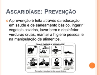 ASCARIDÍASE: PREVENÇÃO
A prevenção é feita através da educação
 em saúde e de saneamento básico, ingerir
 vegetais cozidos, lavar bem e desinfetar
 verduras cruas, manter a higiene pessoal e
 na manipulação de alimentos.
 