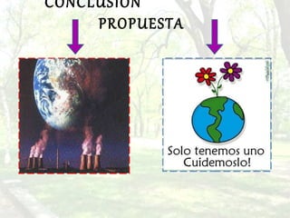 CONCLUSIÓN  PROPUESTA  