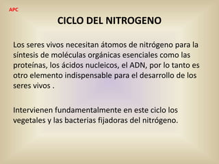 CICLO DEL NITROGENO
Los seres vivos necesitan átomos de nitrógeno para la
síntesis de moléculas orgánicas esenciales como las
proteínas, los ácidos nucleicos, el ADN, por lo tanto es
otro elemento indispensable para el desarrollo de los
seres vivos .
Intervienen fundamentalmente en este ciclo los
vegetales y las bacterias fijadoras del nitrógeno.
APC
 