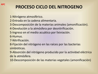 PROCESO CICLO DEL NITROGENO
1-Nitrógeno atmosférico.
2-Entrada en la cadena alimentaria.
3-Descomposición de la materias animales (amonificación).
4-Devolución a la atmósfera por desnitrificación.
5-Ingreso en el medio acuático por lixiviación.
6-Humus.
7-Nitrificación.
8-Fijación del nitrógeno en las raíces por las bacterias
simbióticas.
9-Absorción del nitrógeno producido por la actividad eléctrica
de la atmósfera.
10-Descomposición de las materias vegetales (amonificación)
APC
 