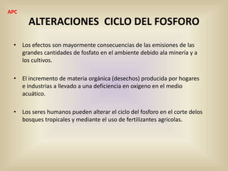 ALTERACIONES CICLO DEL FOSFORO
• Los efectos son mayormente consecuencias de las emisiones de las
grandes cantidades de fosfato en el ambiente debido ala minería y a
los cultivos.
• El incremento de materia orgánica (desechos) producida por hogares
e industrias a llevado a una deficiencia en oxigeno en el medio
acuático.
• Los seres humanos pueden alterar el ciclo del fosforo en el corte delos
bosques tropicales y mediante el uso de fertilizantes agricolas.
APC
 
