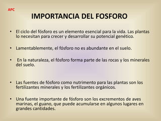IMPORTANCIA DEL FOSFORO
• El ciclo del fósforo es un elemento esencial para la vida. Las plantas
lo necesitan para crecer y desarrollar su potencial genético.
• Lamentablemente, el fósforo no es abundante en el suelo.
• En la naturaleza, el fósforo forma parte de las rocas y los minerales
del suelo.
• Las fuentes de fósforo como nutrimento para las plantas son los
fertilizantes minerales y los fertilizantes orgánicos.
• Una fuente importante de fósforo son los excrementos de aves
marinas, el guano, que puede acumularse en algunos lugares en
grandes cantidades.
APC
 