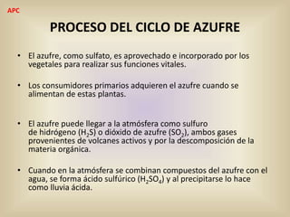 PROCESO DEL CICLO DE AZUFRE
• El azufre, como sulfato, es aprovechado e incorporado por los
vegetales para realizar sus funciones vitales.
• Los consumidores primarios adquieren el azufre cuando se
alimentan de estas plantas.
• El azufre puede llegar a la atmósfera como sulfuro
de hidrógeno (H2S) o dióxido de azufre (SO2), ambos gases
provenientes de volcanes activos y por la descomposición de la
materia orgánica.
• Cuando en la atmósfera se combinan compuestos del azufre con el
agua, se forma ácido sulfúrico (H2SO4) y al precipitarse lo hace
como lluvia ácida.
APC
 