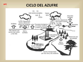 CICLO DEL AZUFREAPC
 