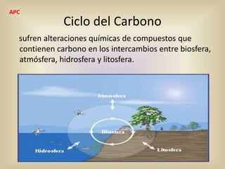 Ciclo del Carbono
sufren alteraciones químicas de compuestos que
contienen carbono en los intercambios entre biosfera,
atmósfera, hidrosfera y litosfera.
APC
 