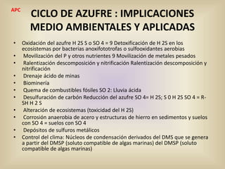 CICLO DE AZUFRE : IMPLICACIONES
MEDIO AMBIENTALES Y APLICADAS
• Oxidación del azufre H 2S S o SO 4 = 9 Detoxificación de H 2S en los
ecosistemas por bacterias anoxifototrofas o sulfooxidantes aerobias
• Movilización del P y otros nutrientes 9 Movilización de metales pesados
• Ralentización descomposición y nitrificación Ralentización descomposición y
nitrificación
• Drenaje ácido de minas
• Biominería
• Quema de combustibles fósiles SO 2: Lluvia ácida
• Desulfuración de carbón Reducción del azufre SO 4= H 2S; S 0 H 2S SO 4 = R-
SH H 2 S
• Alteración de ecosistemas (toxicidad del H 2S)
• Corrosión anaerobia de acero y estructuras de hierro en sedimentos y suelos
con SO 4 = suelos con SO 4
• Depósitos de sulfuros metálicos
• Control del clima: Núcleos de condensación derivados del DMS que se genera
a partir del DMSP (soluto compatible de algas marinas) del DMSP (soluto
compatible de algas marinas)
APC
 