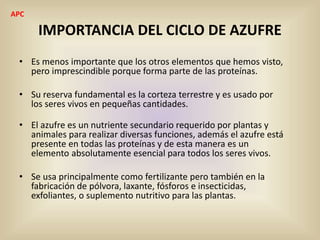 IMPORTANCIA DEL CICLO DE AZUFRE
• Es menos importante que los otros elementos que hemos visto,
pero imprescindible porque forma parte de las proteínas.
• Su reserva fundamental es la corteza terrestre y es usado por
los seres vivos en pequeñas cantidades.
• El azufre es un nutriente secundario requerido por plantas y
animales para realizar diversas funciones, además el azufre está
presente en todas las proteínas y de esta manera es un
elemento absolutamente esencial para todos los seres vivos.
• Se usa principalmente como fertilizante pero también en la
fabricación de pólvora, laxante, fósforos e insecticidas,
exfoliantes, o suplemento nutritivo para las plantas.
APC
 