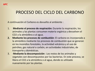 PROCESO DEL CICLO DEL CARBONO
A continuación el Carbono es devuelto al ambiente :
1. Mediante el proceso de respiración: Durante la respiración, los
animales y las plantas consumen materia orgánica y devuelven el
CO2 a la atmósfera o al agua.
2. Mediante los procesos de combustión: El carbono es incorporado a
la atmósfera mediante los procesos de combustión que se generan
en los incendios forestales, la actividad volcánica y el uso de
petróleo, gas natural o carbón, en actividades industriales, de
transporte y domésticas.
3. -Mediante la descomposición : Los restos de los animales y
vegetales son descompuestos por las bacterias. En este proceso, se
libera el CO2 a la atmósfera o al agua, donde es utilizado
nuevamente por las plantas.
APC
 