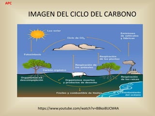 IMAGEN DEL CICLO DEL CARBONO
APC
https://www.youtube.com/watch?v=B8koi8UCM4A
 