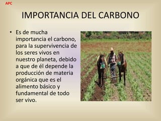IMPORTANCIA DEL CARBONO
• Es de mucha
importancia el carbono,
para la supervivencia de
los seres vivos en
nuestro planeta, debido
a que de él depende la
producción de materia
orgánica que es el
alimento básico y
fundamental de todo
ser vivo.
APC
 