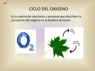 CICLO DEL OXIGENO
Es la cadena de reacciones y procesos que describen la
circulación del oxígeno en la biosfera terrestre.
APC
 