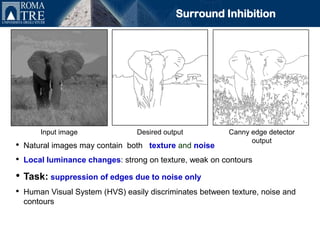 Surround Inhibition




        Input image               Desired output           Canny edge detector
                                                                 output
•   Natural images may contain both texture and noise
•   Local luminance changes: strong on texture, weak on contours

• Task: suppression of edges due to noise only
•   Human Visual System (HVS) easily discriminates between texture, noise and
    contours
 