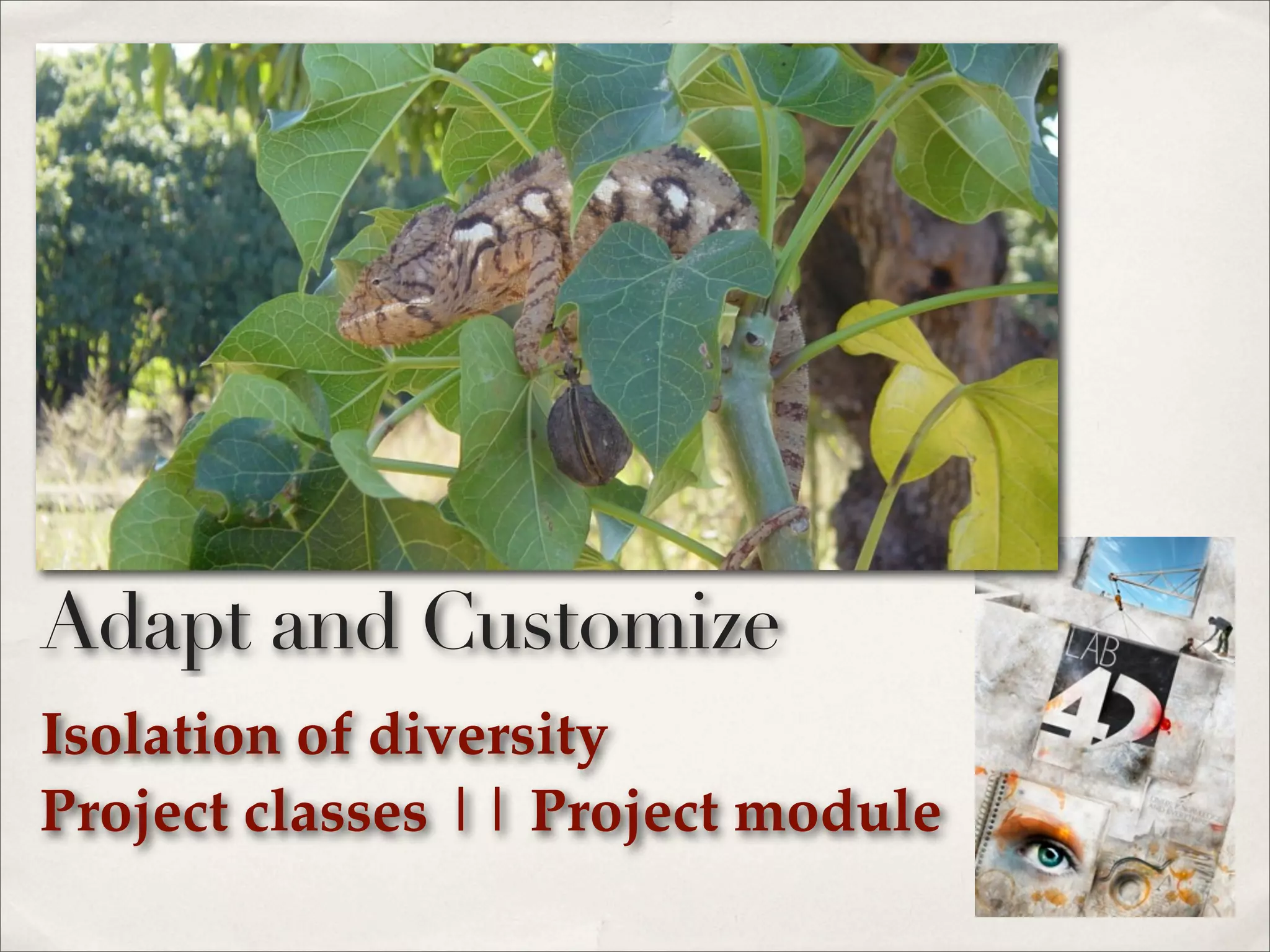 Isolation of diversity
Project classes || Project module
Adapt and Customize
 