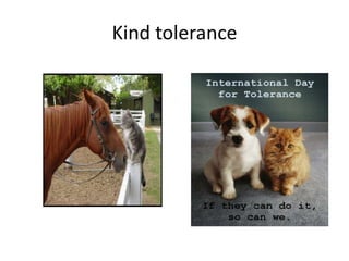 Kind tolerance