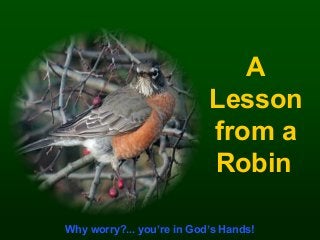 A
Lesson
from a
Robin

♫ Turn on your speakers!

CLICK TO ADVANCE SLIDES

Why worry?... you’re in God’s Hands!

 