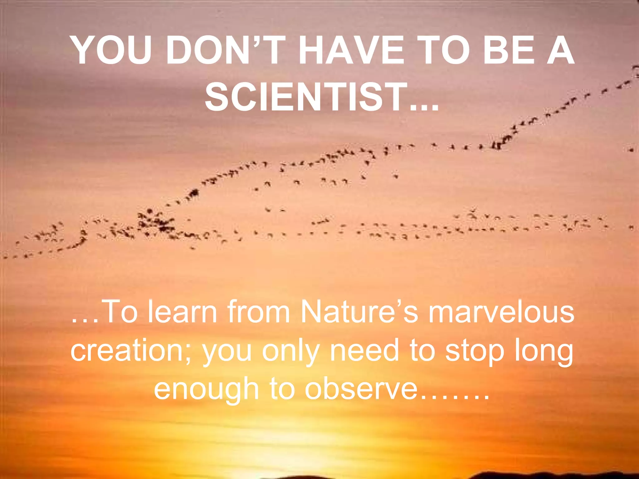 … To learn from Nature’s marvelous creation; you only need to stop long enough to observe……. YOU DON’T HAVE TO BE A SCIENTIST... 