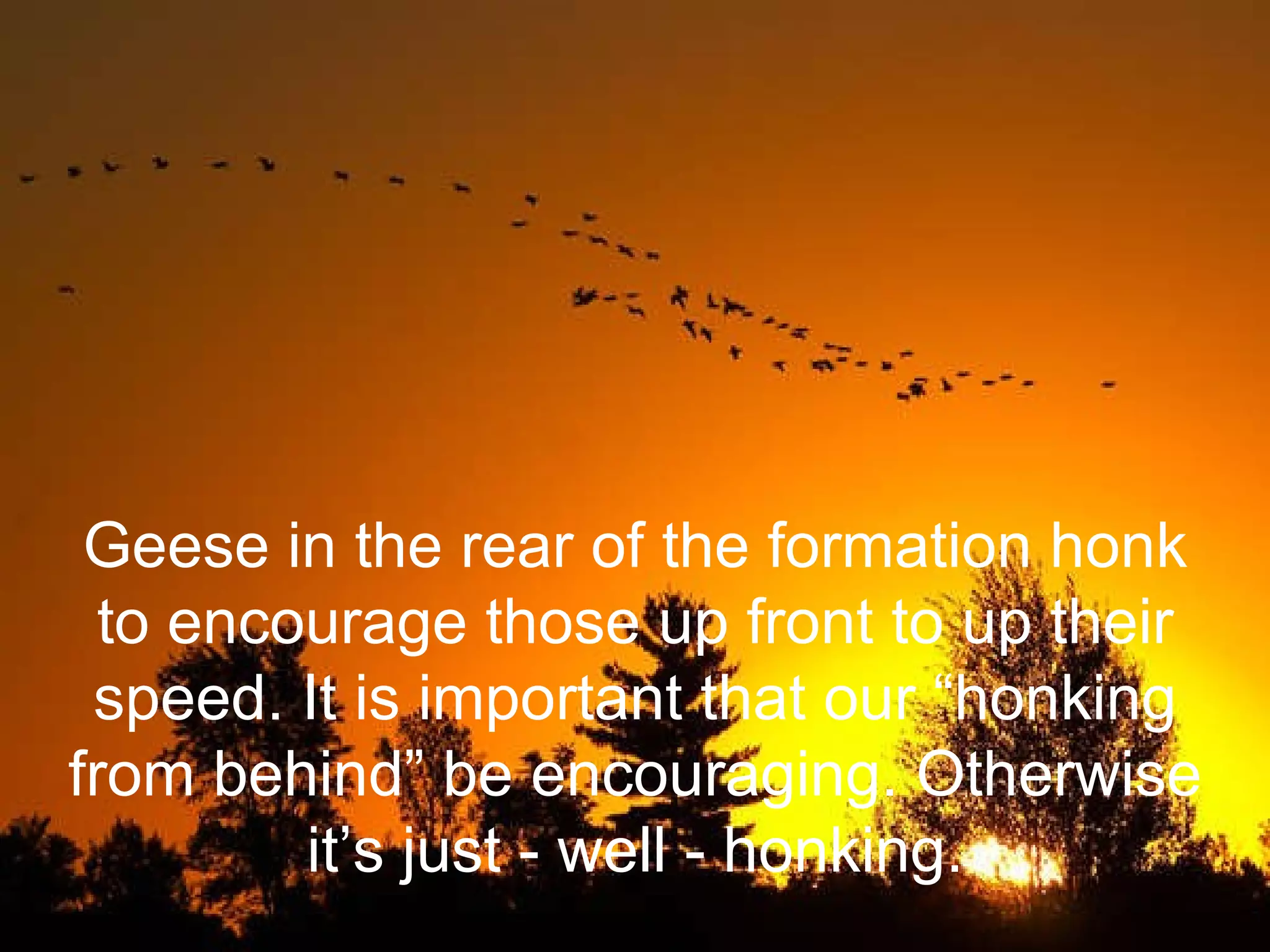 Geese in the rear of the formation honk to encourage those up front to up their speed. It is important that our “honking from behind” be encouraging. Otherwise it’s just - well - honking. 