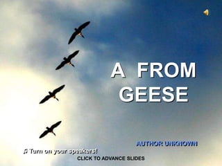 A FROM
GEESE
AUTHOR UNKNOWN
CLICK TO ADVANCE SLIDES
♫ Turn on your speakers!
 