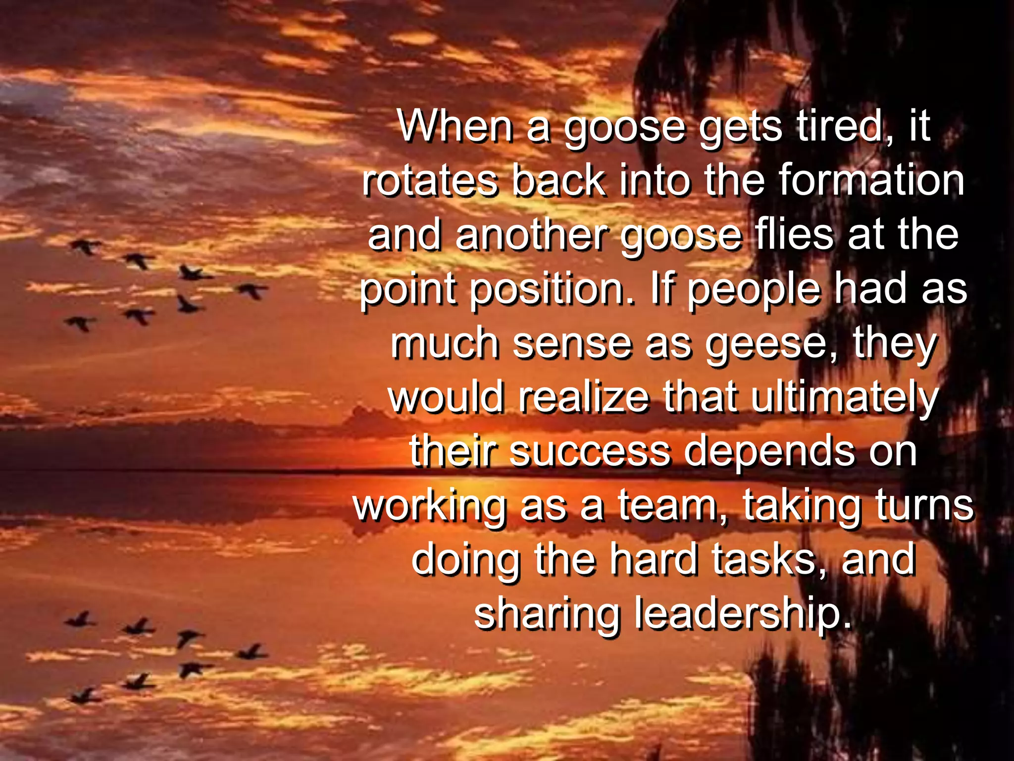 When a goose gets tired, it
rotates back into the formation
and another goose flies at the
point position. If people had as
much sense as geese, they
would realize that ultimately
their success depends on
working as a team, taking turns
doing the hard tasks, and
sharing leadership.
 