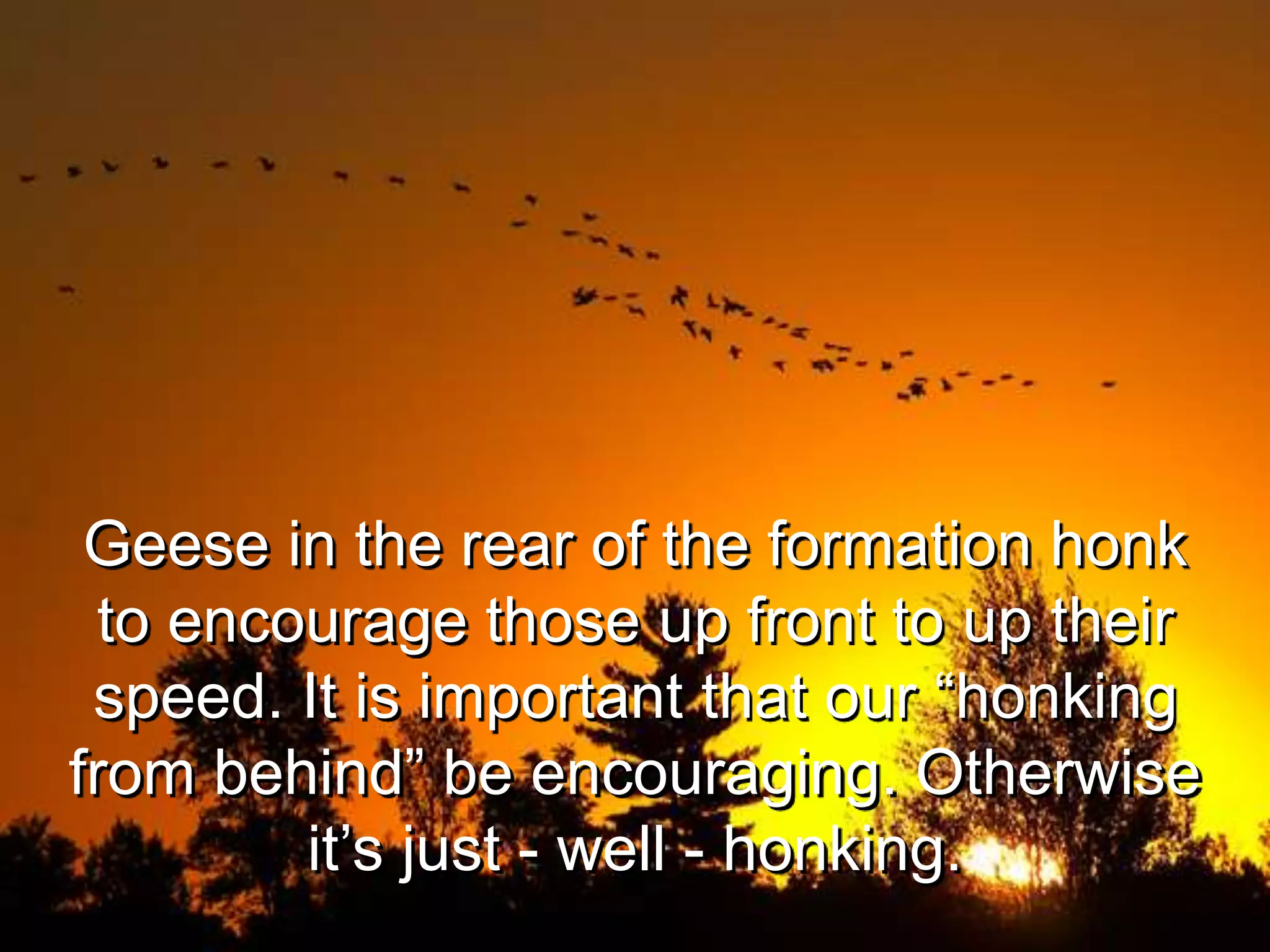 Geese in the rear of the formation honk
to encourage those up front to up their
speed. It is important that our “honking
from behind” be encouraging. Otherwise
it’s just - well - honking.
 