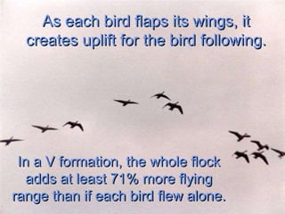 A lesson From Geese.ppt
