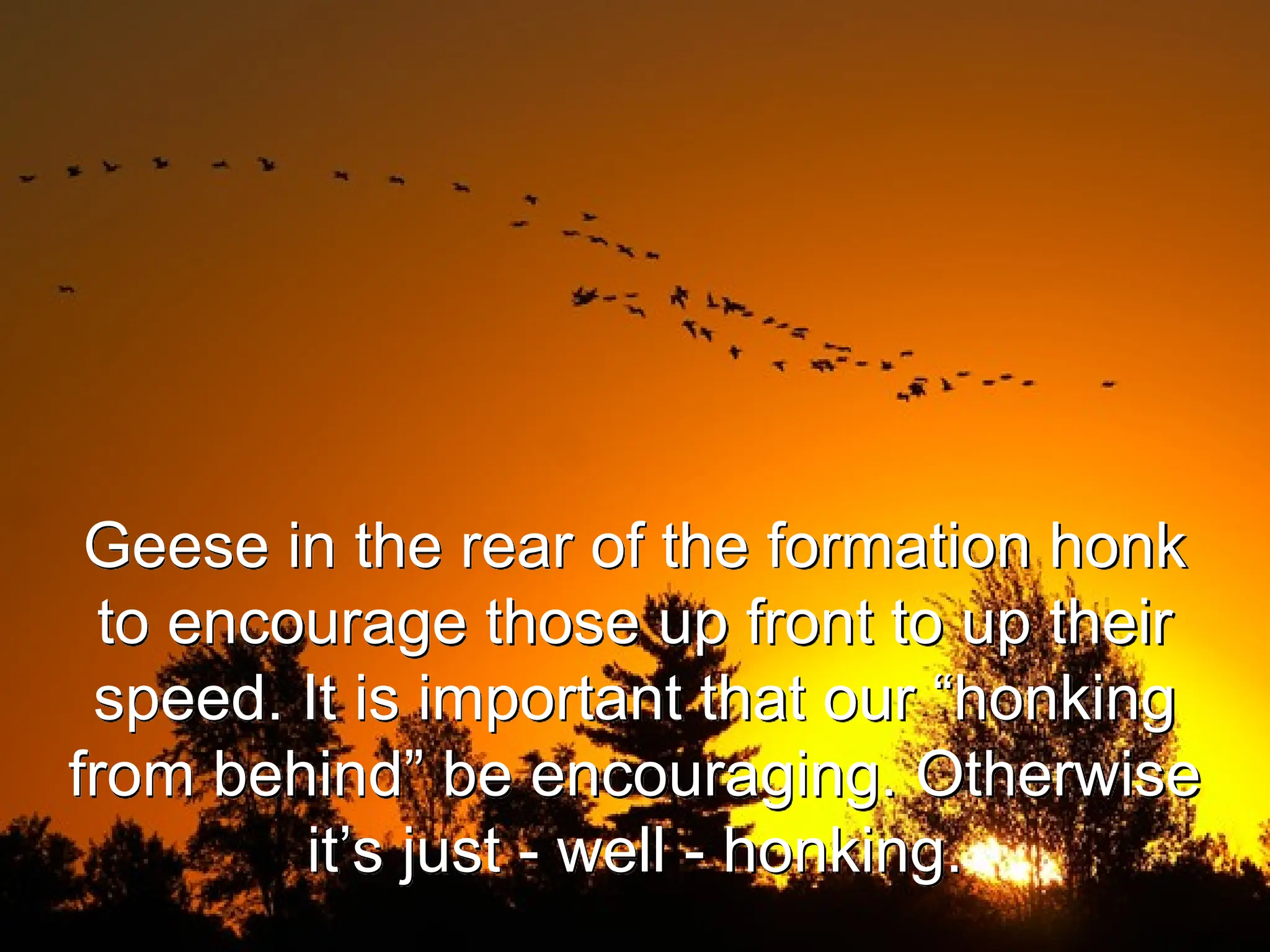 Geese in the rear of the formation honk
to encourage those up front to up their
speed. It is important that our “honking
from behind” be encouraging. Otherwise
it’s just - well - honking.
 