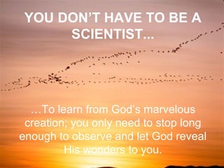 …To learn from God’s marvelous
creation; you only need to stop long
enough to observe and let God reveal
His wonders to you.
YOU DON’T HAVE TO BE A
SCIENTIST...
 