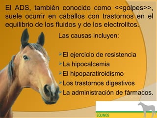 El ADS, también conocido como <<golpes>>,
suele ocurrir en caballos con trastornos en el
equilibrio de los fluidos y de los electrolitos.
Las causas incluyen:
El ejercicio de resistencia
La hipocalcemia
El hipoparatiroidismo
Los trastornos digestivos
La administración de fármacos.
 