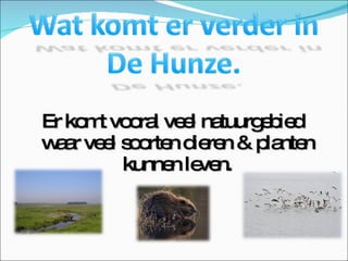 Er komt vooral veel natuurgebied waar veel soorten dieren & planten kunnen leven. 