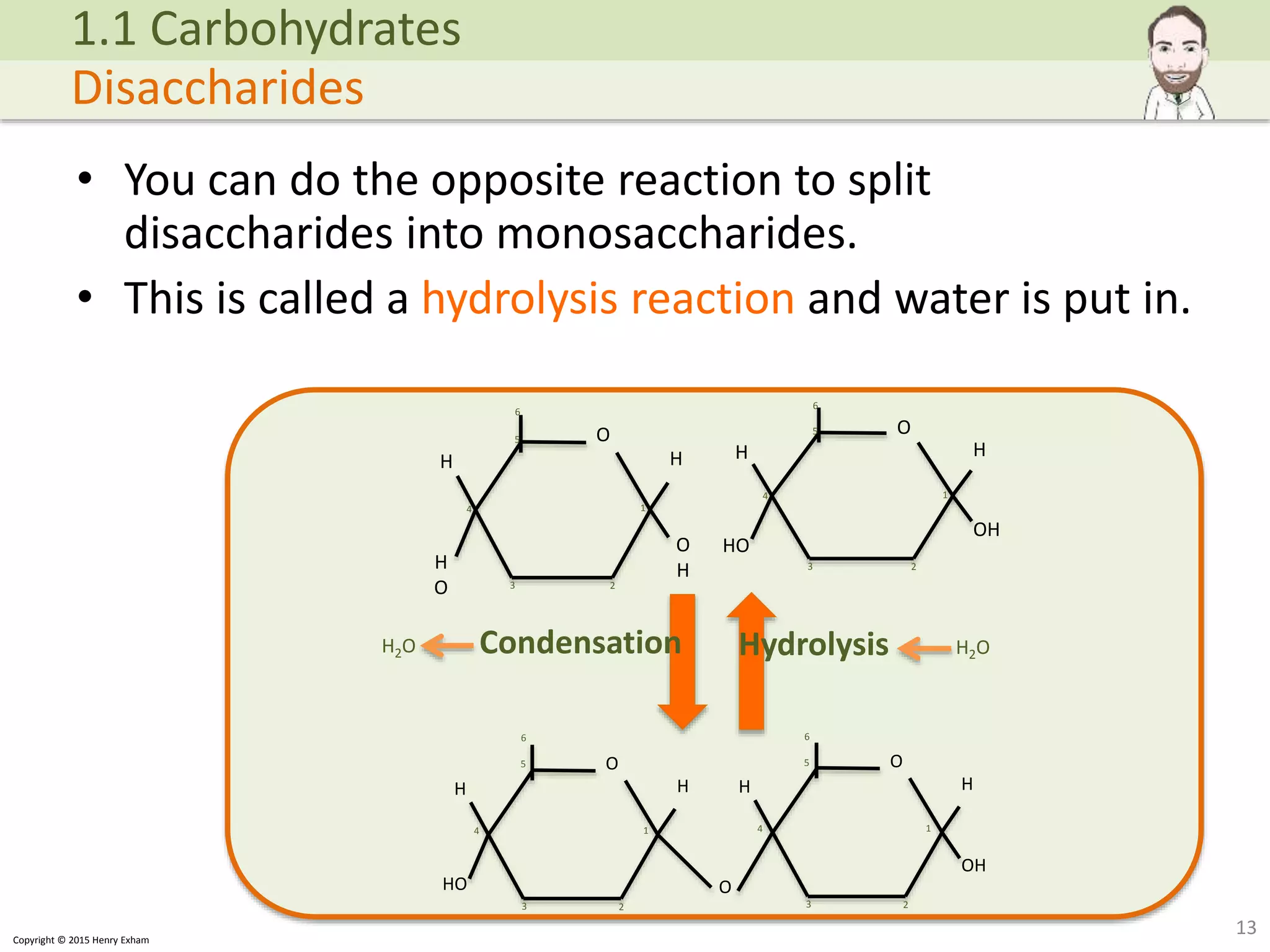 Atp Complete 2 Hydrolysis Reaction A Level Biology