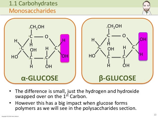 biological molecules Molecules: groups of atoms bonded together due to the sharing or donating of electronsexamples: carbon dioxide, water, nacl, oxygen biological. biological molecules Molecules: groups of atoms bonded together due to the sharing or donating of electronsexamples: carbon dioxide, water, nacl, oxygen biological.