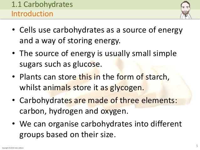 A level Biology - Biological Molecules