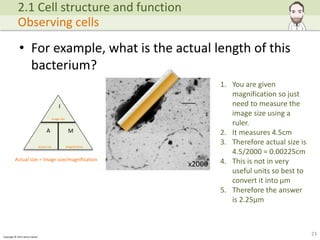 A level Biology - Cells, Viruses and Reproduction of Living Things | PPTX