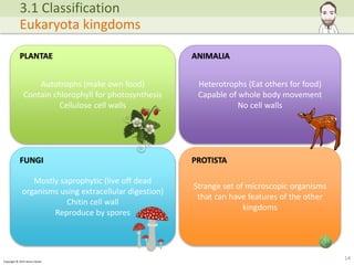 Copyright © 2015 Henry Exham
14
3.1 Classification
Eukaryota kingdoms
Autotrophs (make own food)
Contain chlorophyll for photosynthesis
Cellulose cell walls
Mostly saprophytic (live off dead
organisms using extracellular digestion)
Chitin cell wall
Reproduce by spores
Heterotrophs (Eat others for food)
Capable of whole body movement
No cell walls
Strange set of microscopic organisms
that can have features of the other
kingdoms
PLANTAE ANIMALIA
PROTISTAFUNGI
 
