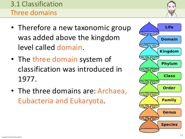 A Level Biology - Classification and Biodiversity