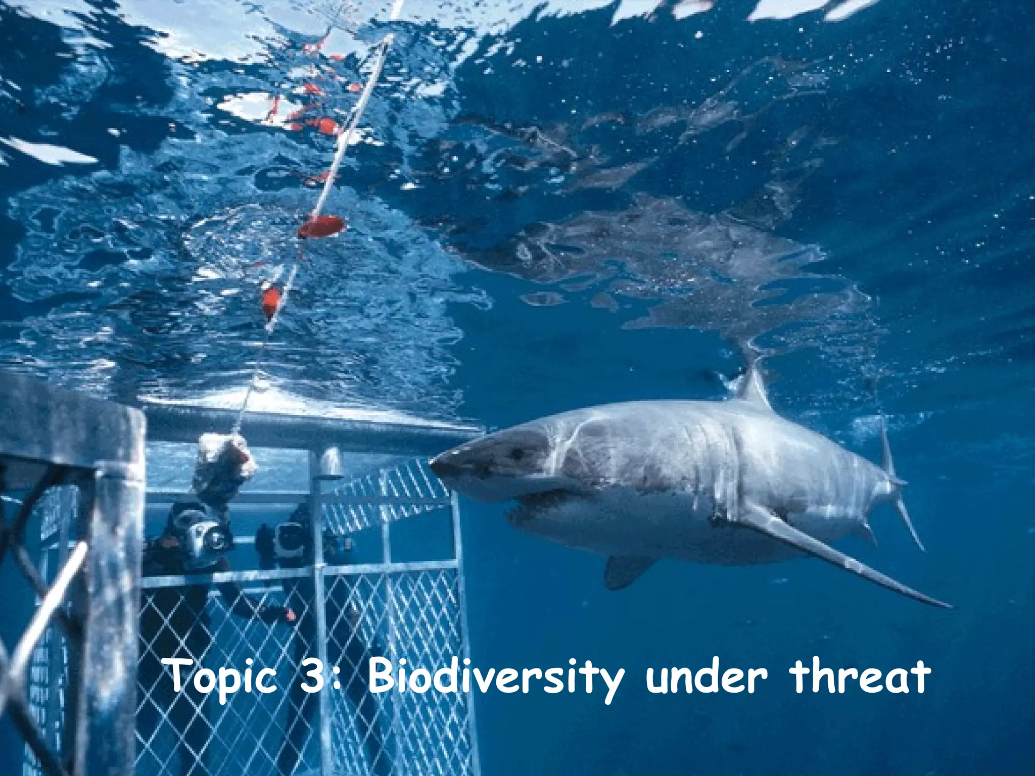 Topic 3: Biodiversity under threat 