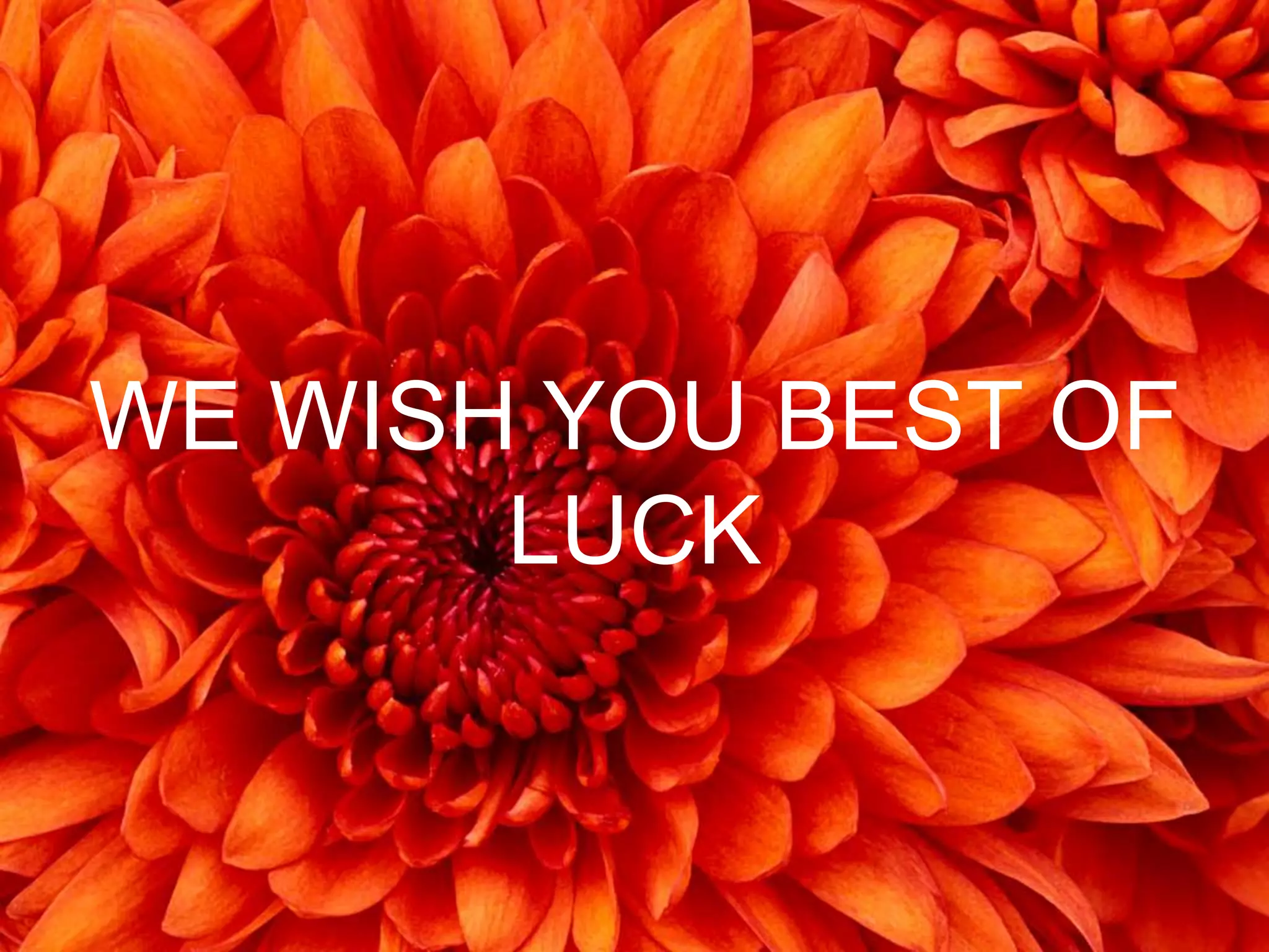 WE WISH YOU BEST OF 
LUCK 
