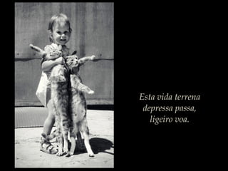 Esta vida terrena
depressa passa,
ligeiro voa.
 