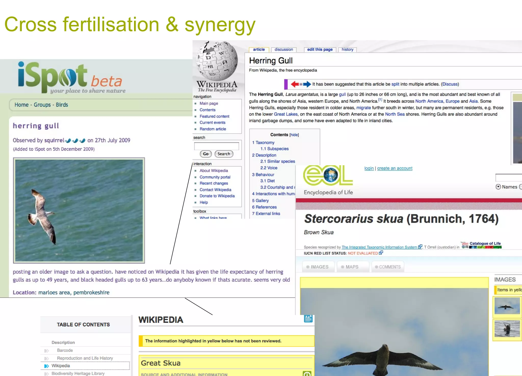 Cross fertilisation & synergy 