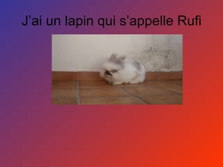 J’ai un lapin qui s’appelle Rufi 