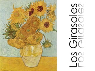 Los Girasoles

 