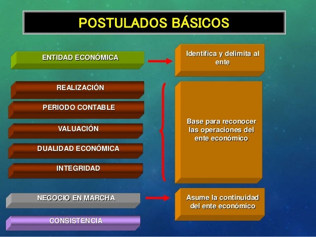 ESTRUCTURA DE LA NIF