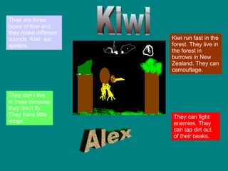 Thee are three types of kiwi and they make different sounds. Kiwi  eat spiders.  Kiwi run fast in the forest. They live in the forest in burrows in New Zealand. They can camouflage. They can fight enemies. They can tap dirt out of their beaks. They don’t live in trees because they don’t fly. They have little wings. Alex Kiwi 