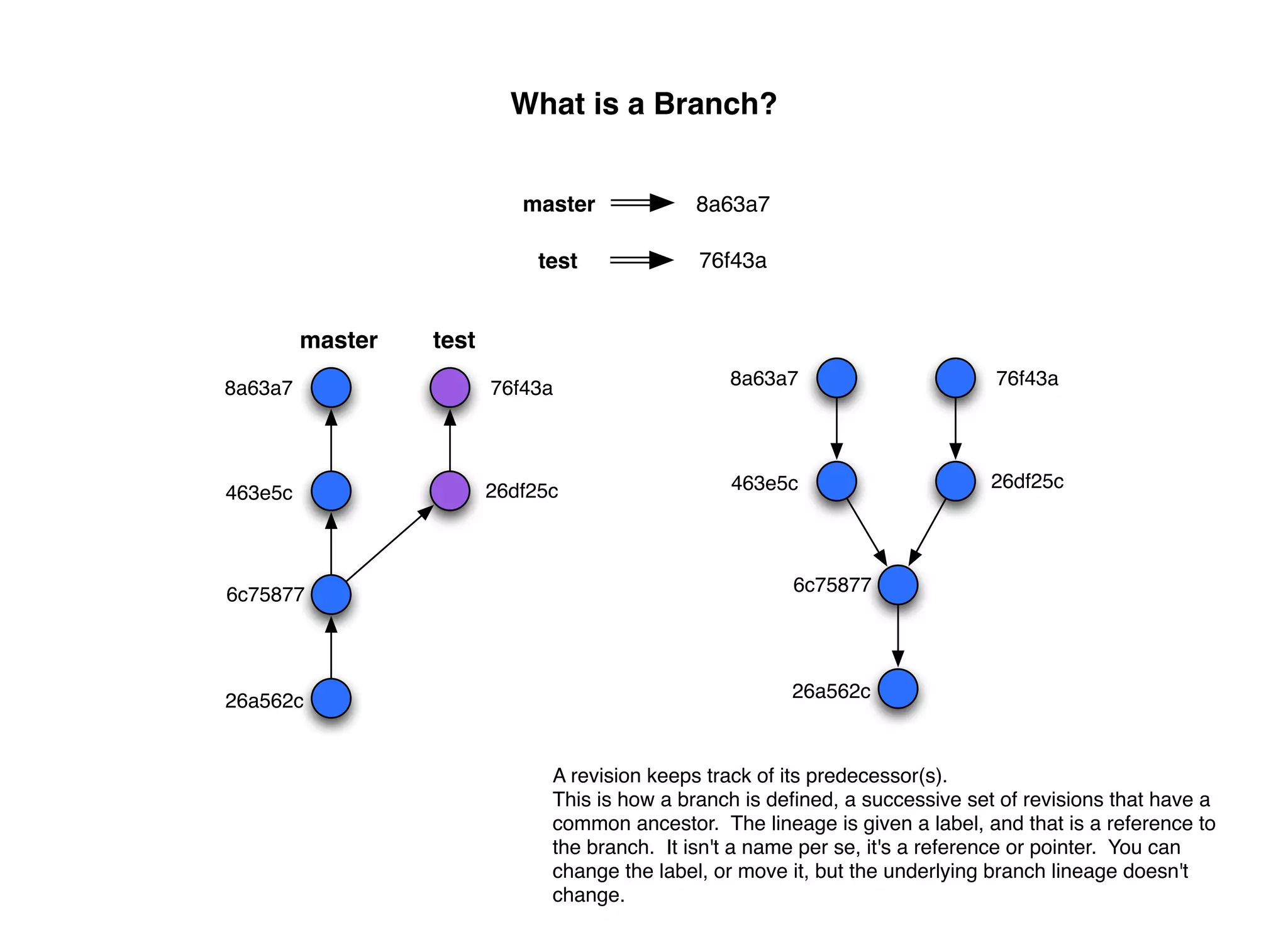 What is a Branch?


                            master            8a63a7

                              test             76f43a


         master   test
8a63a7                   76f43a                   8a63a7                       76f43a




                         26df25c                  463e5c                       26df25c
463e5c



6c75877                                                  6c75877




26a562c                                                  26a562c



                               A revision keeps track of its predecessor(s).
                               This is how a branch is deﬁned, a successive set of revisions that have a
                               common ancestor. The lineage is given a label, and that is a reference to
                               the branch. It isn't a name per se, it's a reference or pointer. You can
                               change the label, or move it, but the underlying branch lineage doesn't
                               change.
 